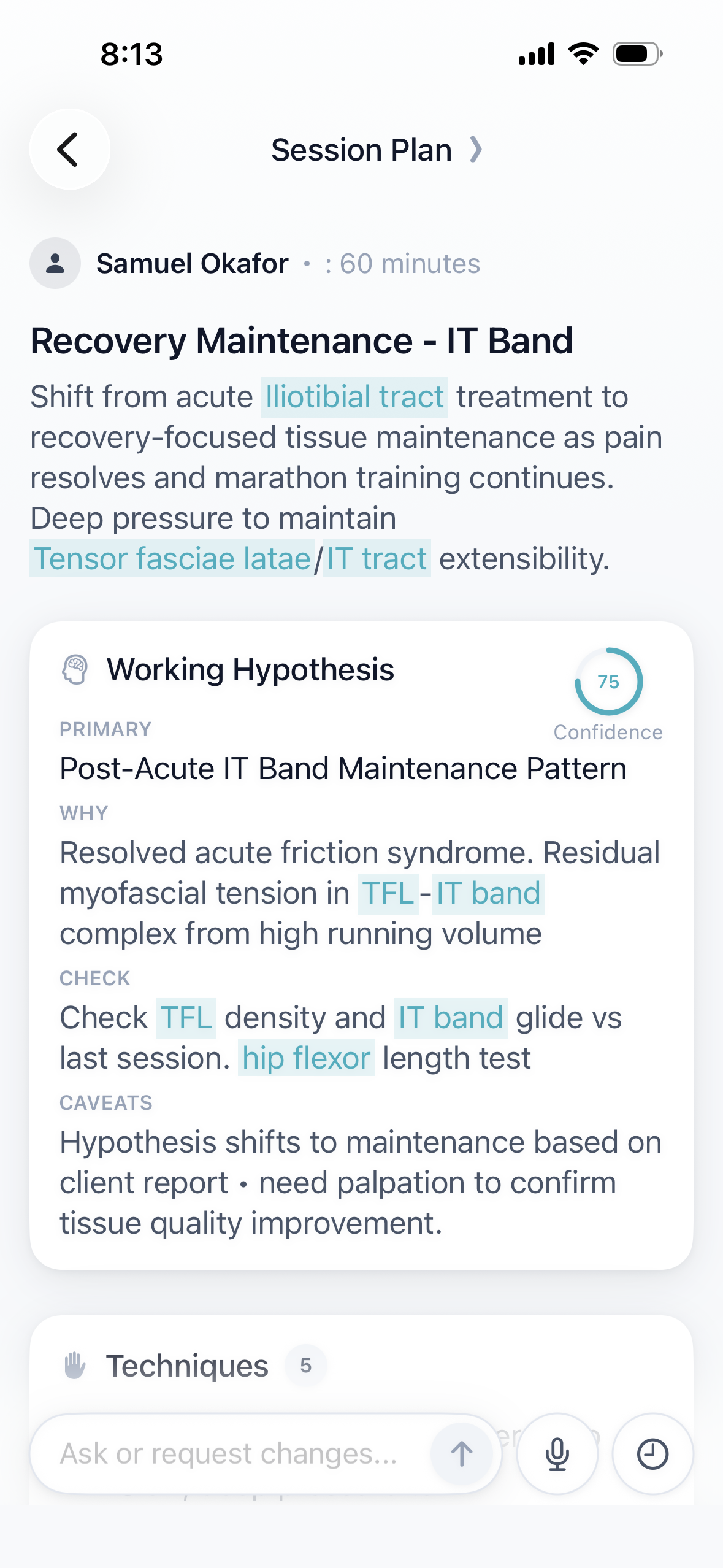 Session plan with a working hypothesis, techniques, and timed phases